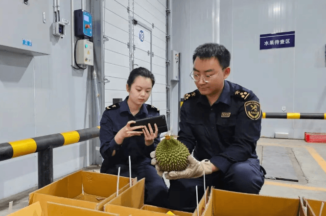 Weixin Image_20260512112939_2049_6.png