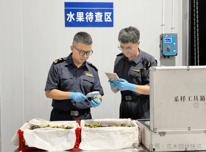 Weixin Image_20261012155205_671_1.png