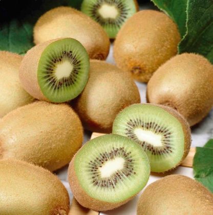 kiwi.JPG