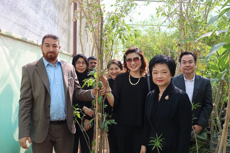 “พาณิชย์” สบช่องทางดันพันธุ์ไม้ไทย พร้อมบริการรับจัดสวน บุกตลาดซาอุดีอาระเบีย