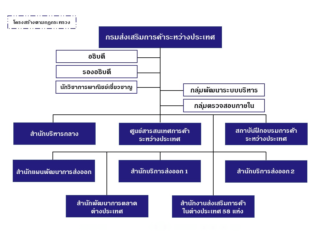 โครงสร้างกรมส่งเสริมการค้าระหว่างประเทศ