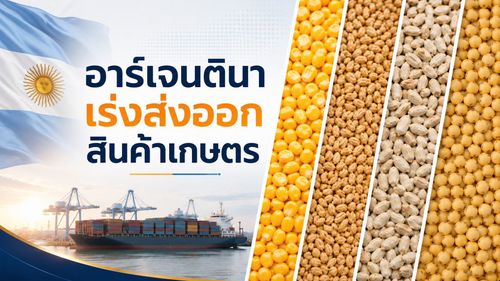 อาร์เจนตินาเร่งส่งออกสินค้าเกษตร หลังผลผลิตสูง ข้าวโพด–ข้าวสาลีหนุนตลาด