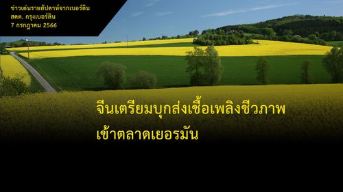 Home in Countryside