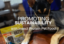 Promoting Sustainability with Insect Protein Pet Food